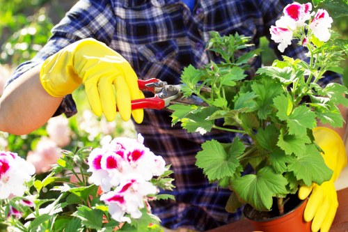 Professional garden clearance team at work in Ilford yard
