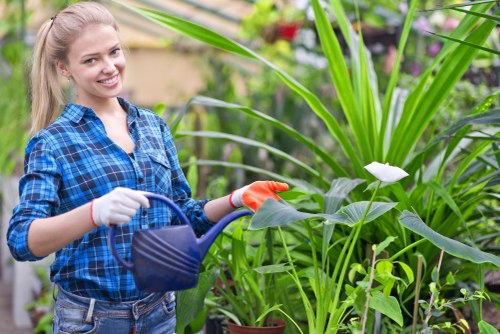A young woman with long blonde hair, wearing a blue checkered shirt and gardening gloves, is standing in a garden with lush green plants and foliage. She is holding a blue watering can and appears to be watering various garden plants, including large broad-leafed greenery and flowering plants with white blooms. The background shows a well-maintained outdoor space with a mixture of tall plants, smaller shrubs, and flower beds, indicating an organized and cared-for garden environment typical of residential properties in Ilford. The garden area features a mix of natural soil and paved pathways, with natural daylight illuminating the scene, suggesting a bright, cloudy day. The image reflects professional gardening and landscaping services, highlighting attention to plant care and garden maintenance, consistent with the offerings of Gardening Services Ilford, aimed at enhancing outdoor spaces in the local area.