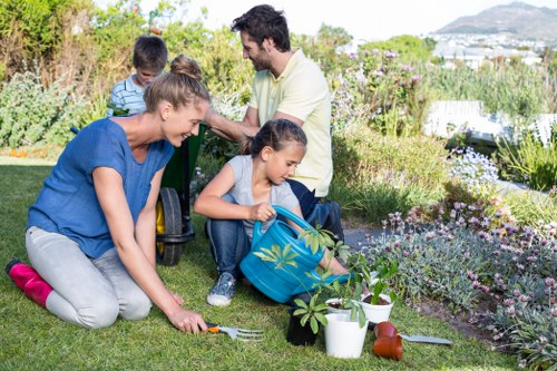 Ilford garden maintenance services