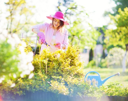 Sustainable gardening practices in Ilford