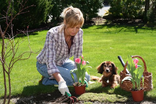 Operative wearing PPE while mowing a lawn